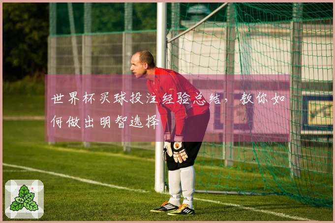 世界杯买球投注经验总结，教你如何做出明智选择