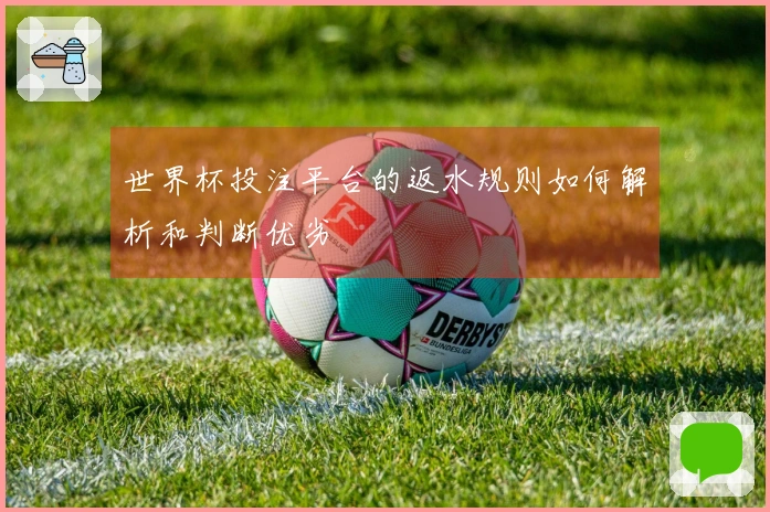 世界杯投注平台的返水规则如何解析和判断优劣